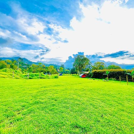 Ecoxplora-Zona De Camping Jardín Buitenkant foto