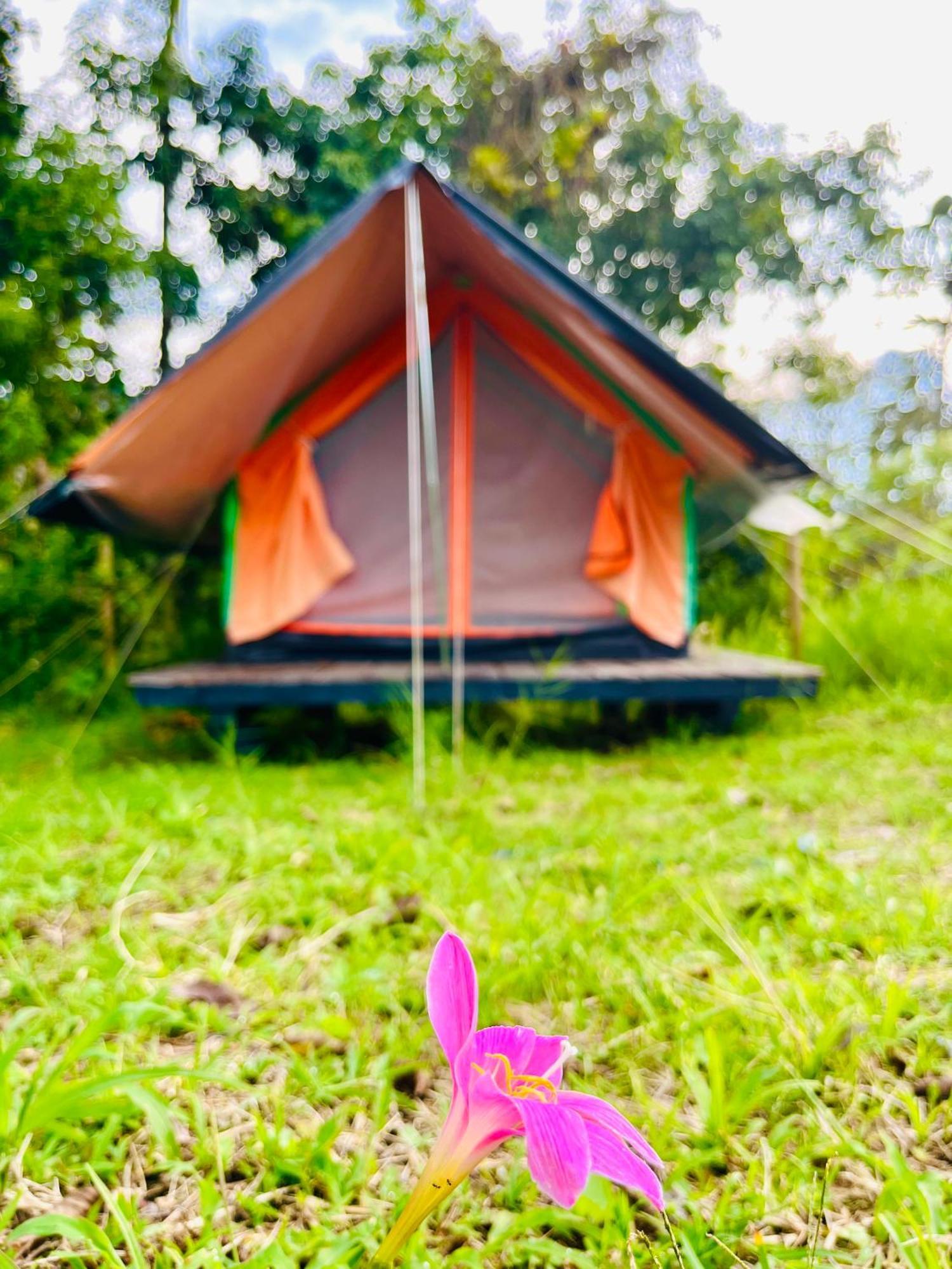 Ecoxplora-Zona De Camping Jardín Buitenkant foto