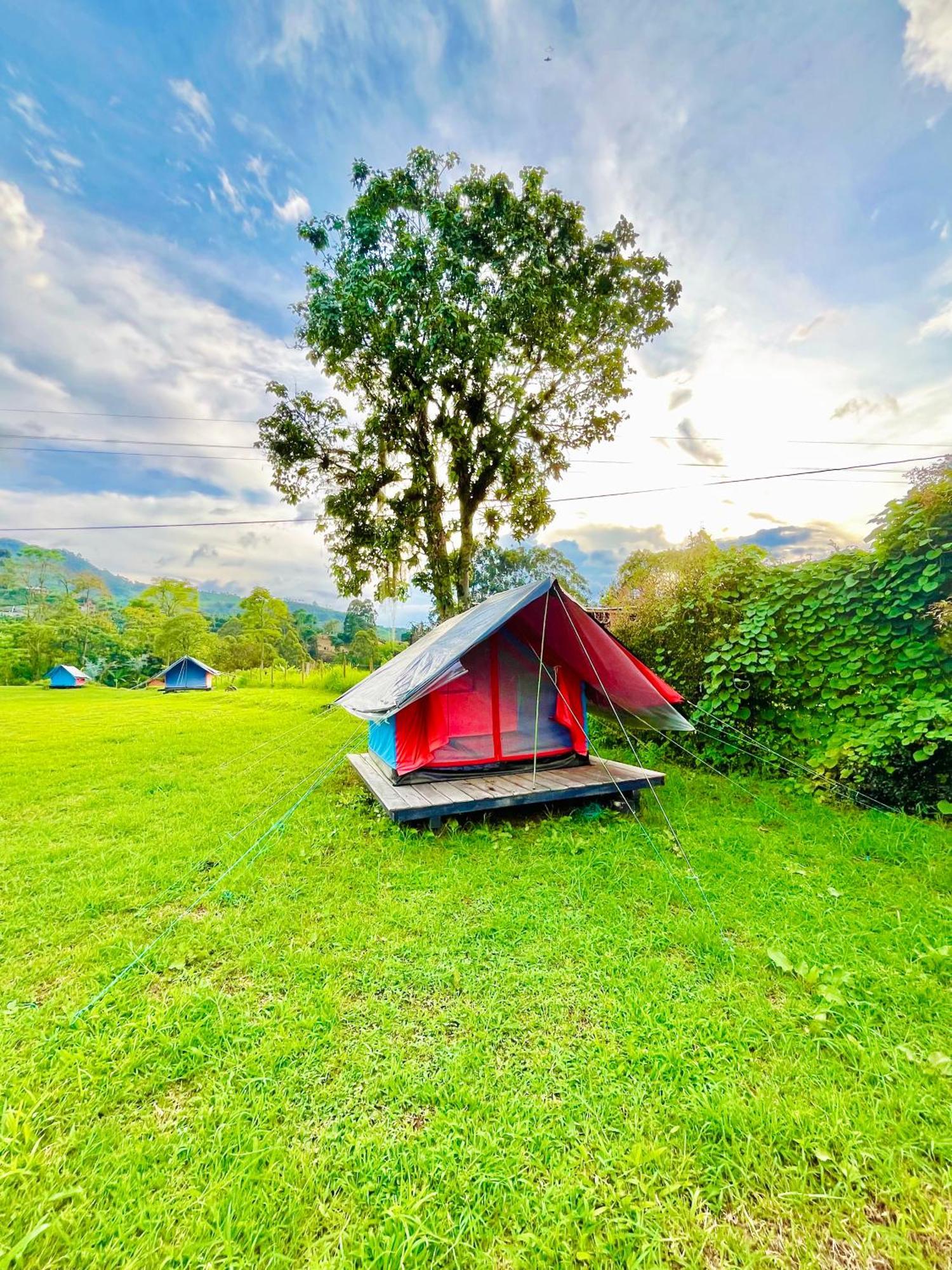 Ecoxplora-Zona De Camping Jardín Buitenkant foto