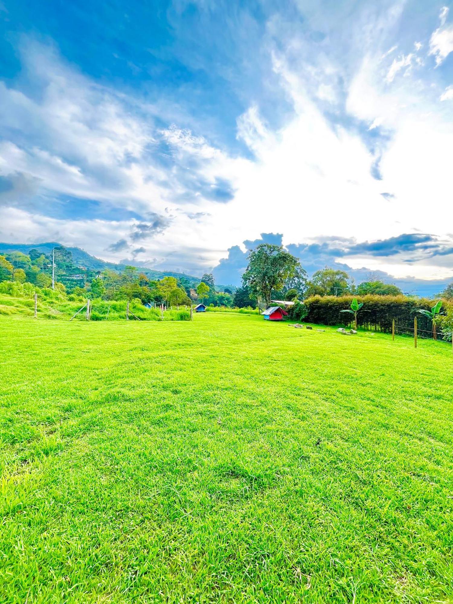 Ecoxplora-Zona De Camping Jardín Buitenkant foto
