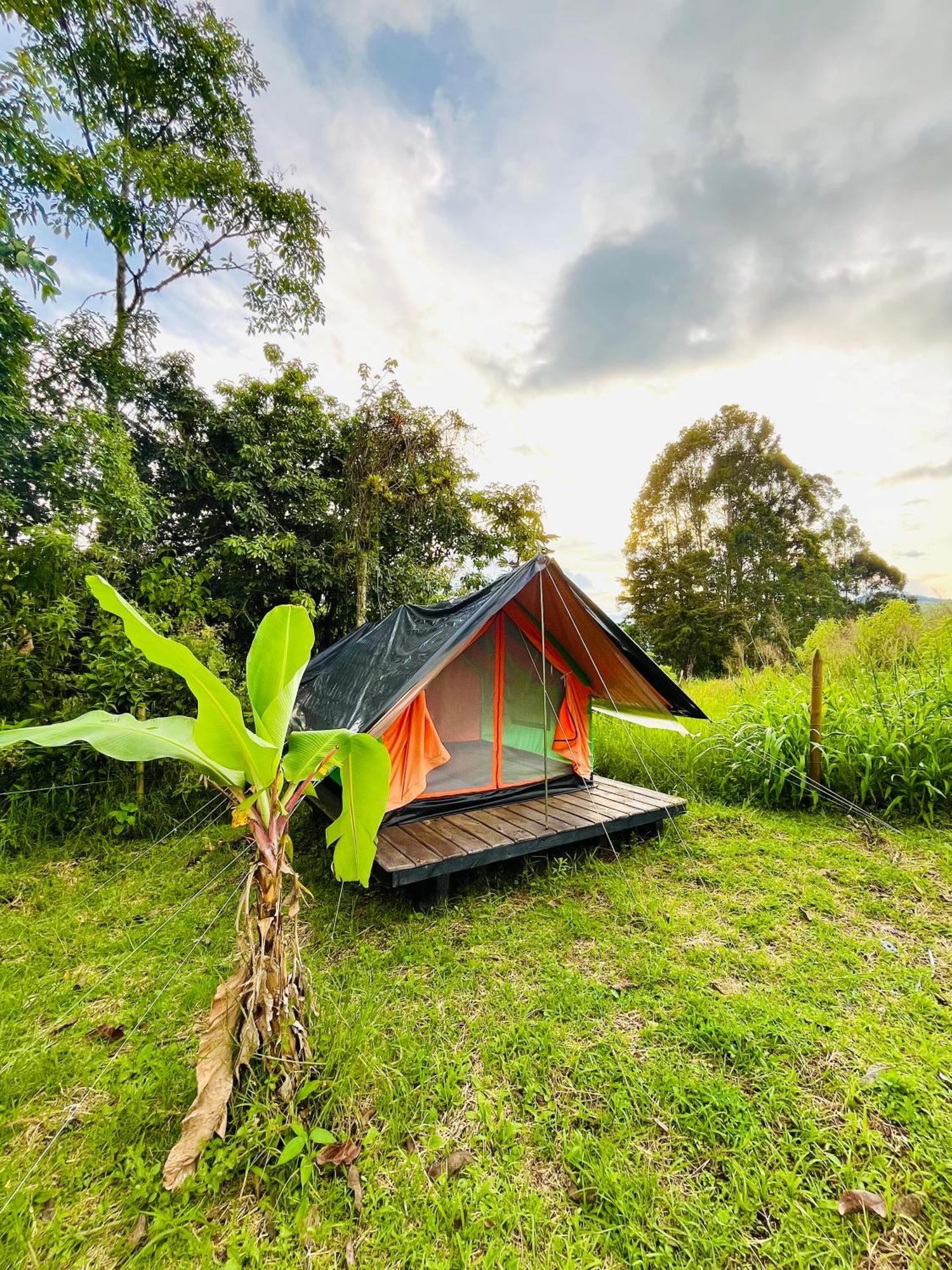 Ecoxplora-Zona De Camping Jardín Buitenkant foto