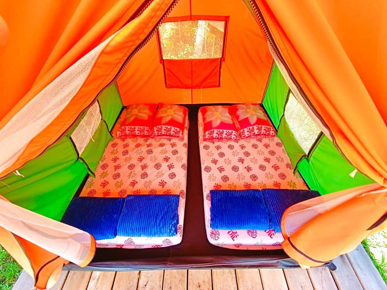 Ecoxplora-Zona De Camping Jardín Buitenkant foto